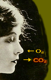 Oxygen in, carbon dioxide out