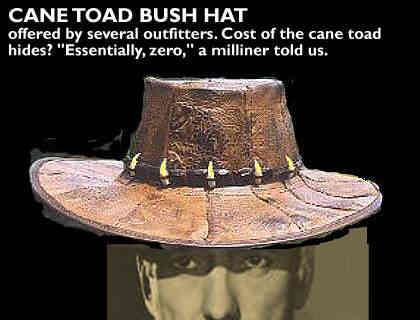 Cane Toad Bush Hat