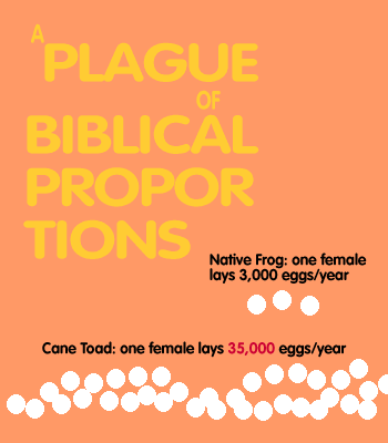 A Plague of Biblical Proportions